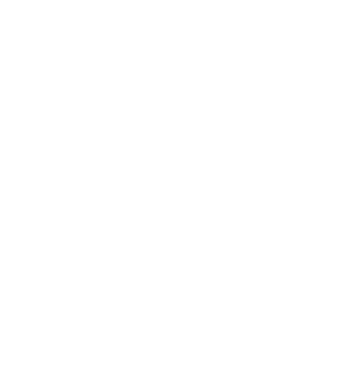 La Duchesse Anne