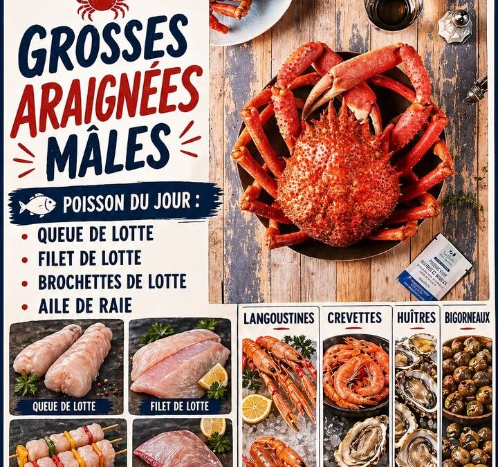 MARDI-DES-9H30-Peche-locale-Gurvan-Grosses-araignees-males-1-1912457509701965-720x675 Accueil