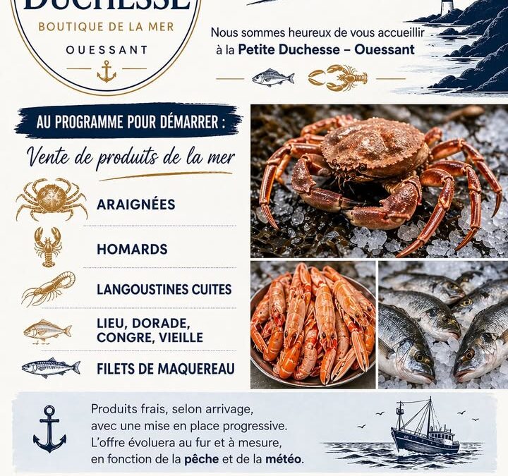 Ouverture-de-la-Petite-Duchesse-–-Ouessant-De-9h30-1-1906825916931791-720x675 Accueil