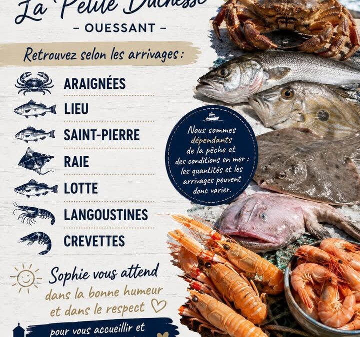 Demain-a-La-Petite-Duchesse-–-Ouessant-Pour-notre-1-2016284572652591-720x675 Accueil